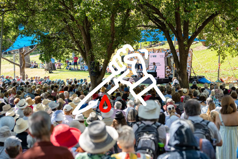 Killing the Adelaide festival